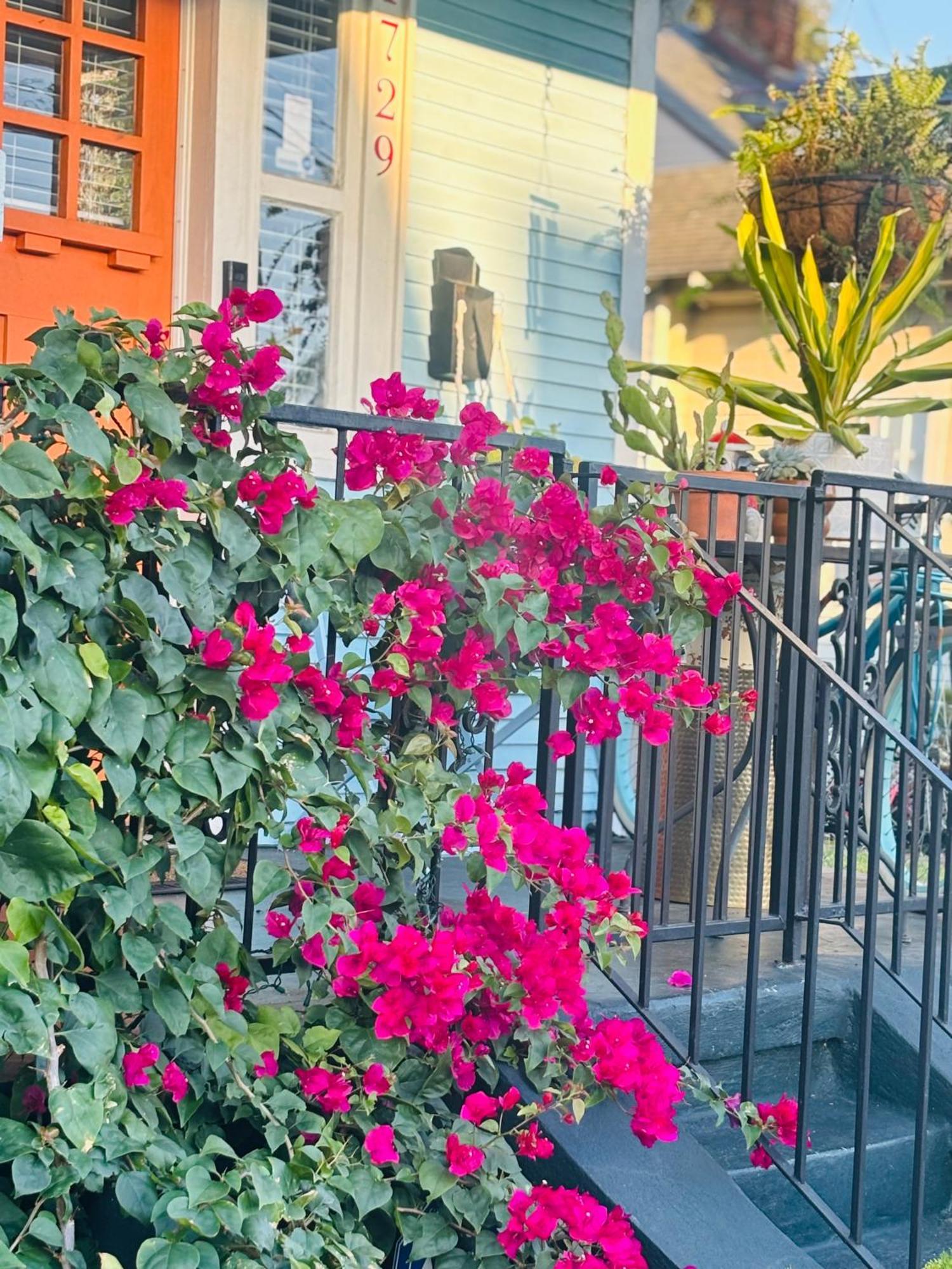 Charming Creole Near French Quarter Apartment New Orleans