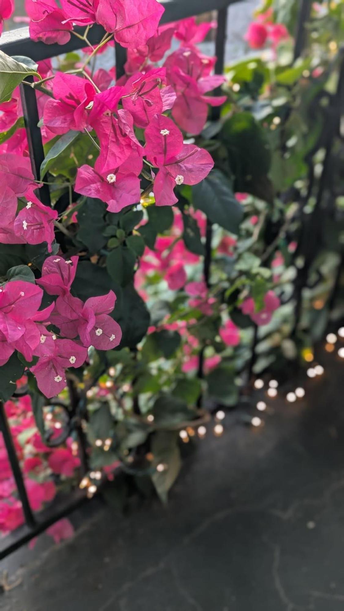 Apartment Charming Creole Near French Quarter