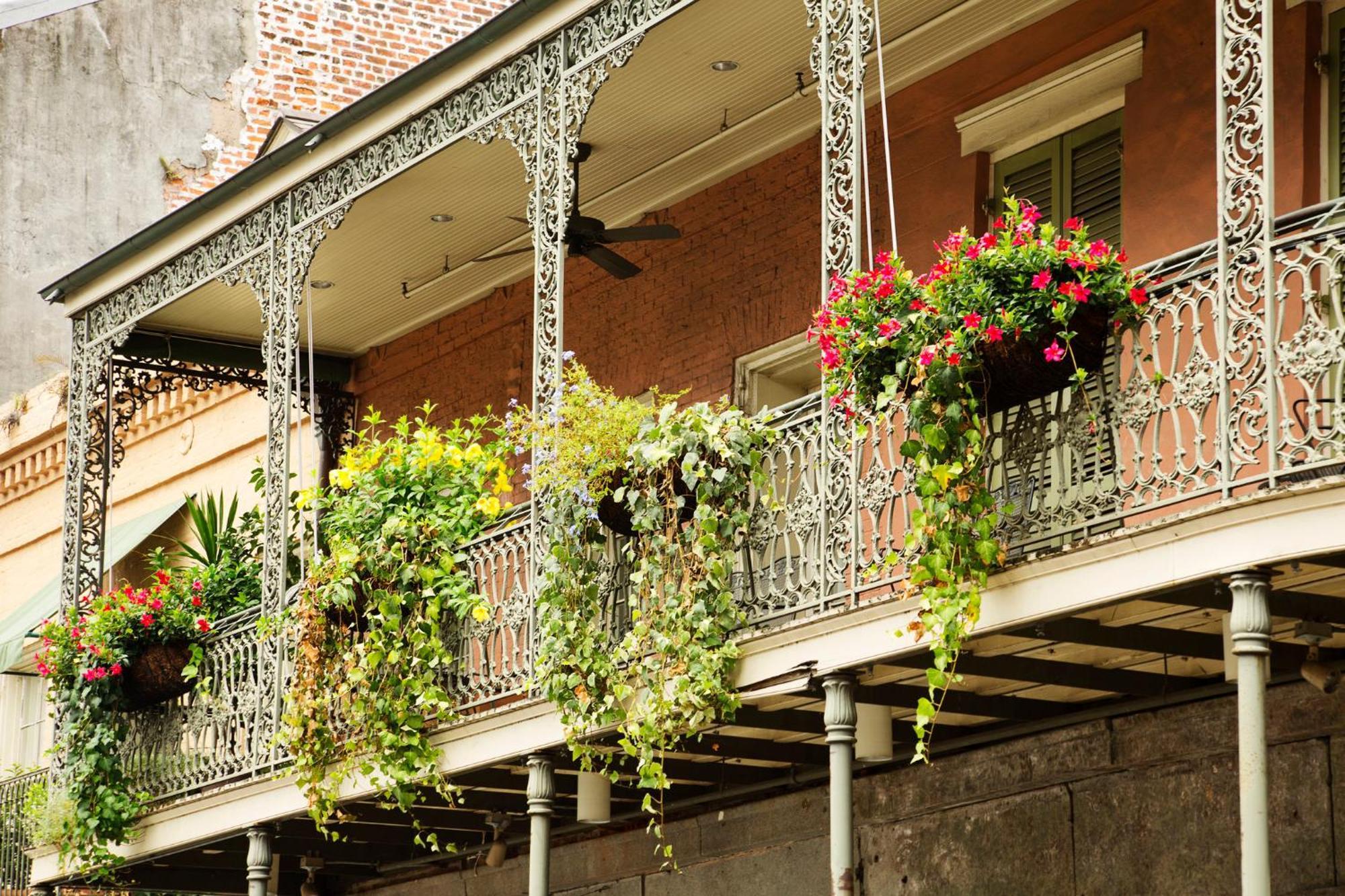 Hotel Indigo - French Quarter By Ihg 3*