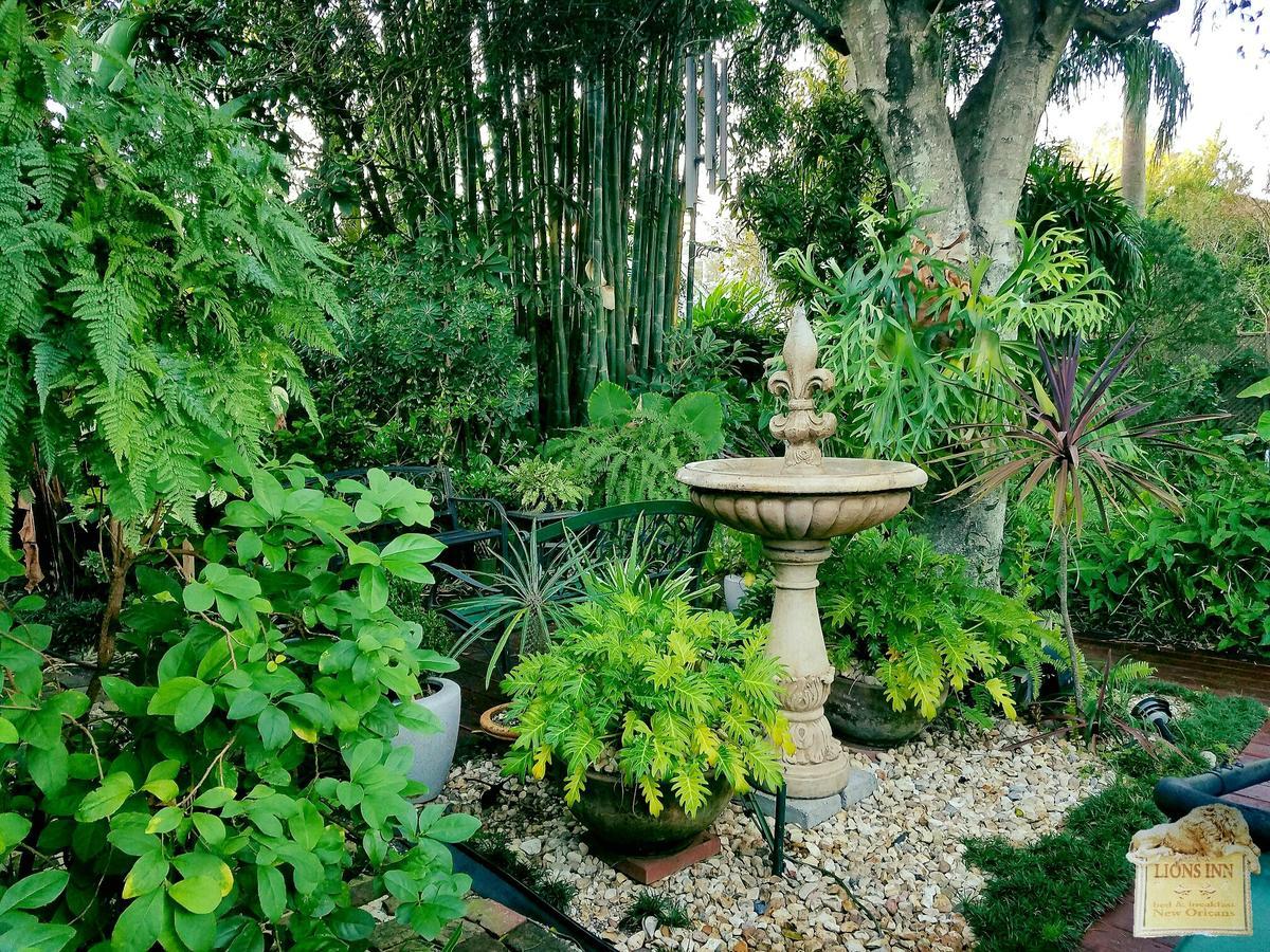 Lions Bed & Breakfast 3*