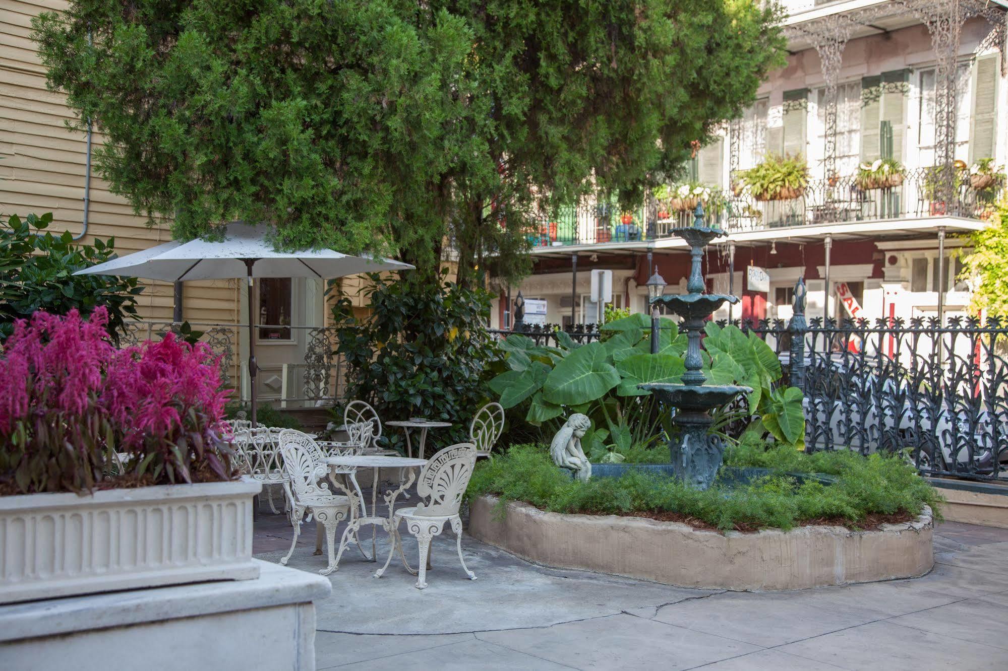 Cornstalk 3* New Orleans