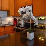 Apartment French Quarter Delight 12 *