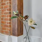 The Magnolia *