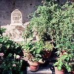Soniat House 4*