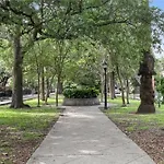 Spacious In Downtown Nola * New Orleans