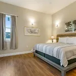 Spacious In Downtown Nola Apartment New Orleans