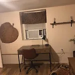 Apartment Jungle Theme *