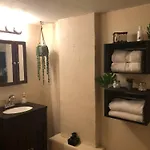 Jungle Theme *