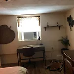 Jungle Theme