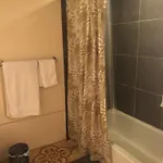Apartment Jungle Theme