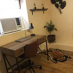 Jungle Theme Apartment New Orleans