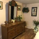 Jungle Theme