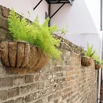 Inn On Ursulines, A French Quarter New Orleans