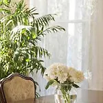 Southern Comfort 3* New Orleans