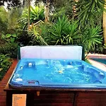 Lion's 3* New Orleans