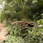 Southern Comfort Bed & Breakfast