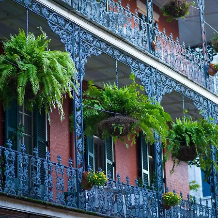 Hotel Frenchmen Orleans At 519, Ascend Collection New Orleans