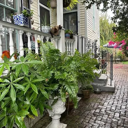 Apartment Garden In The Heart Of Nola New Orleans
