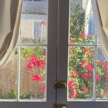 Apartment Garden In The Heart Of Nola New Orleans