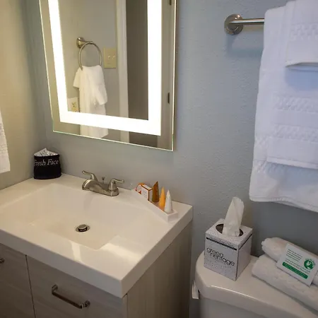 Hotel Frenchmen Orleans At 519, Ascend Collection