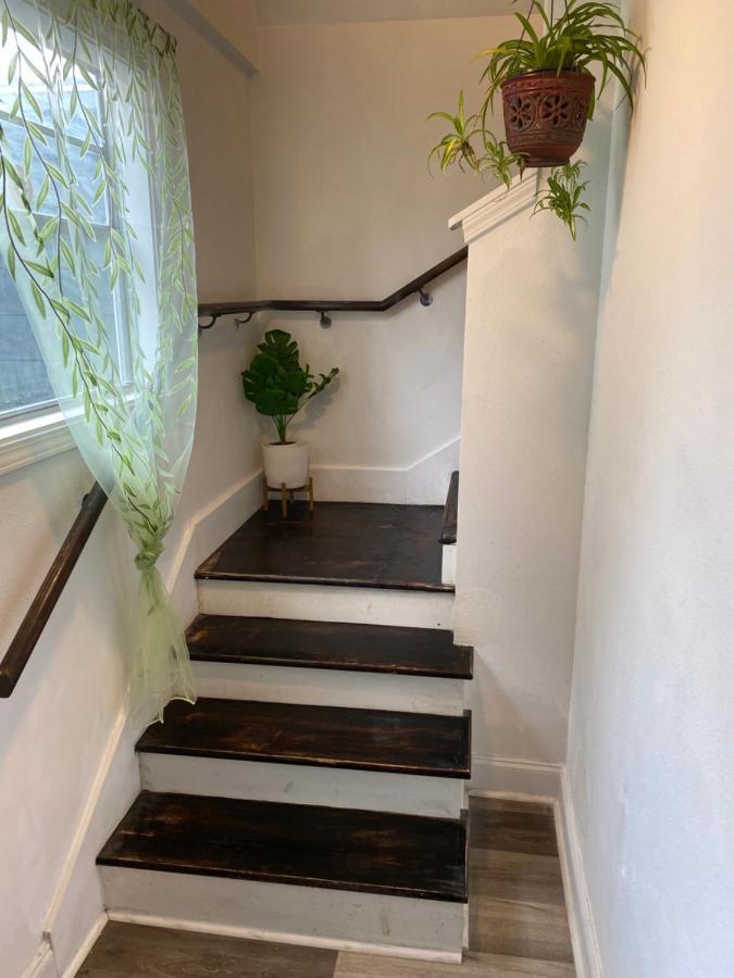 Neighbor New Orleans