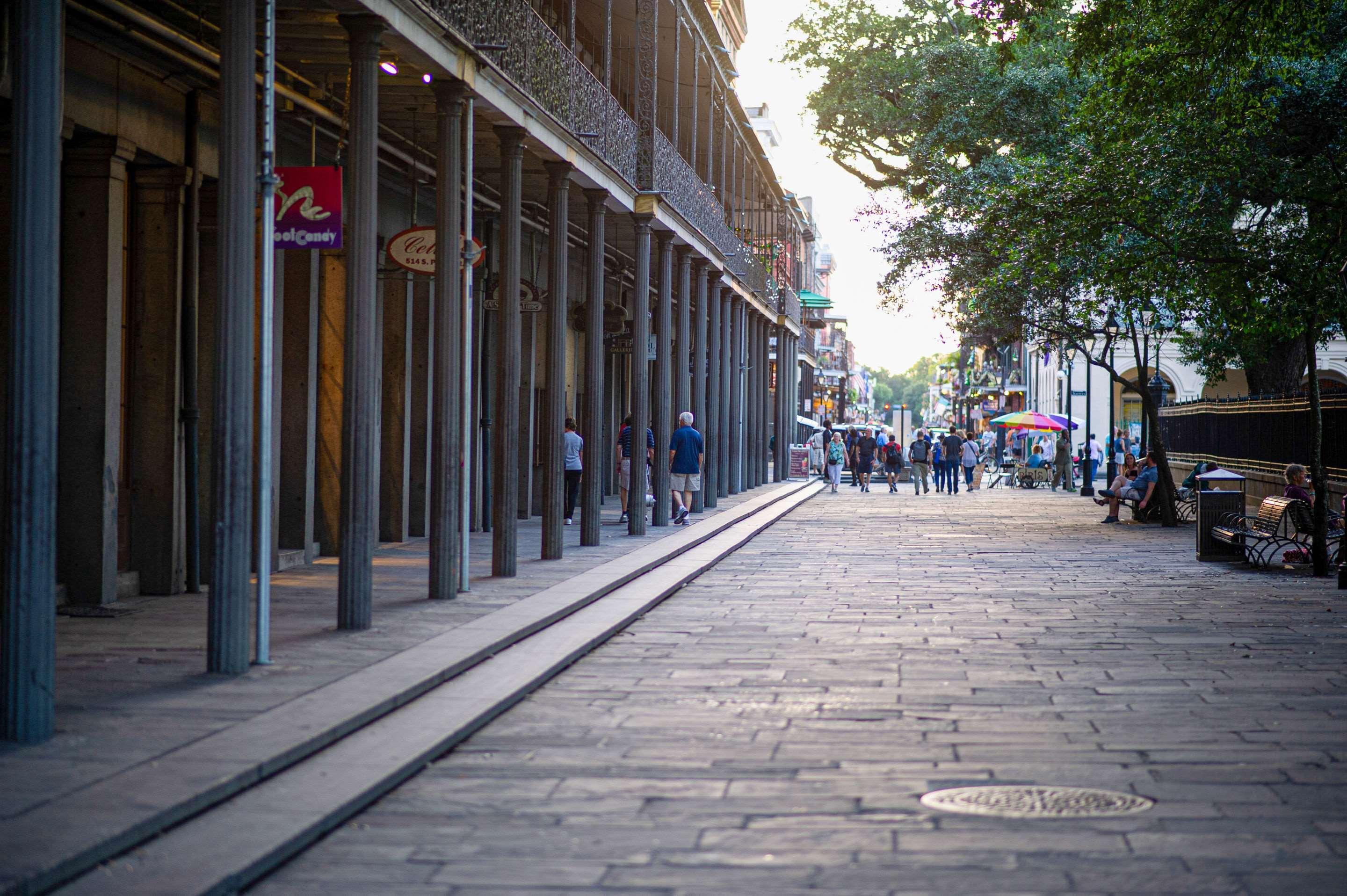 Frenchmen Orleans At 519, Ascend Collection