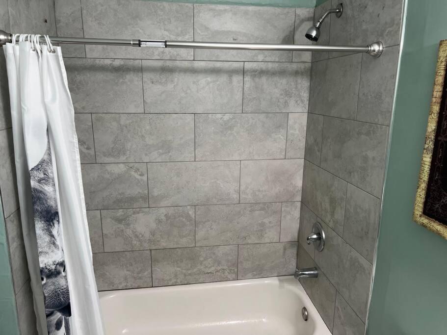 2 Blocks From French Quarters Apartment *