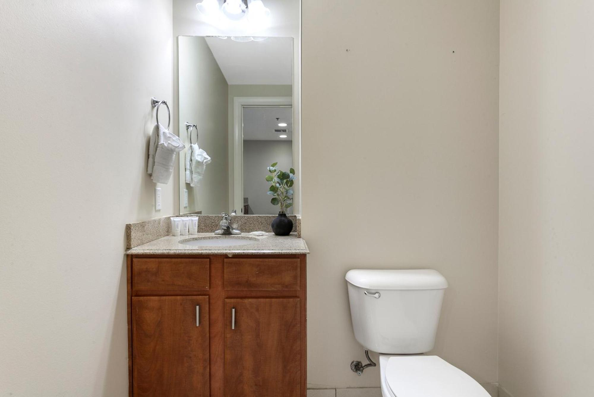 Spacious Modern Near French Quarter Apartment New Orleans
