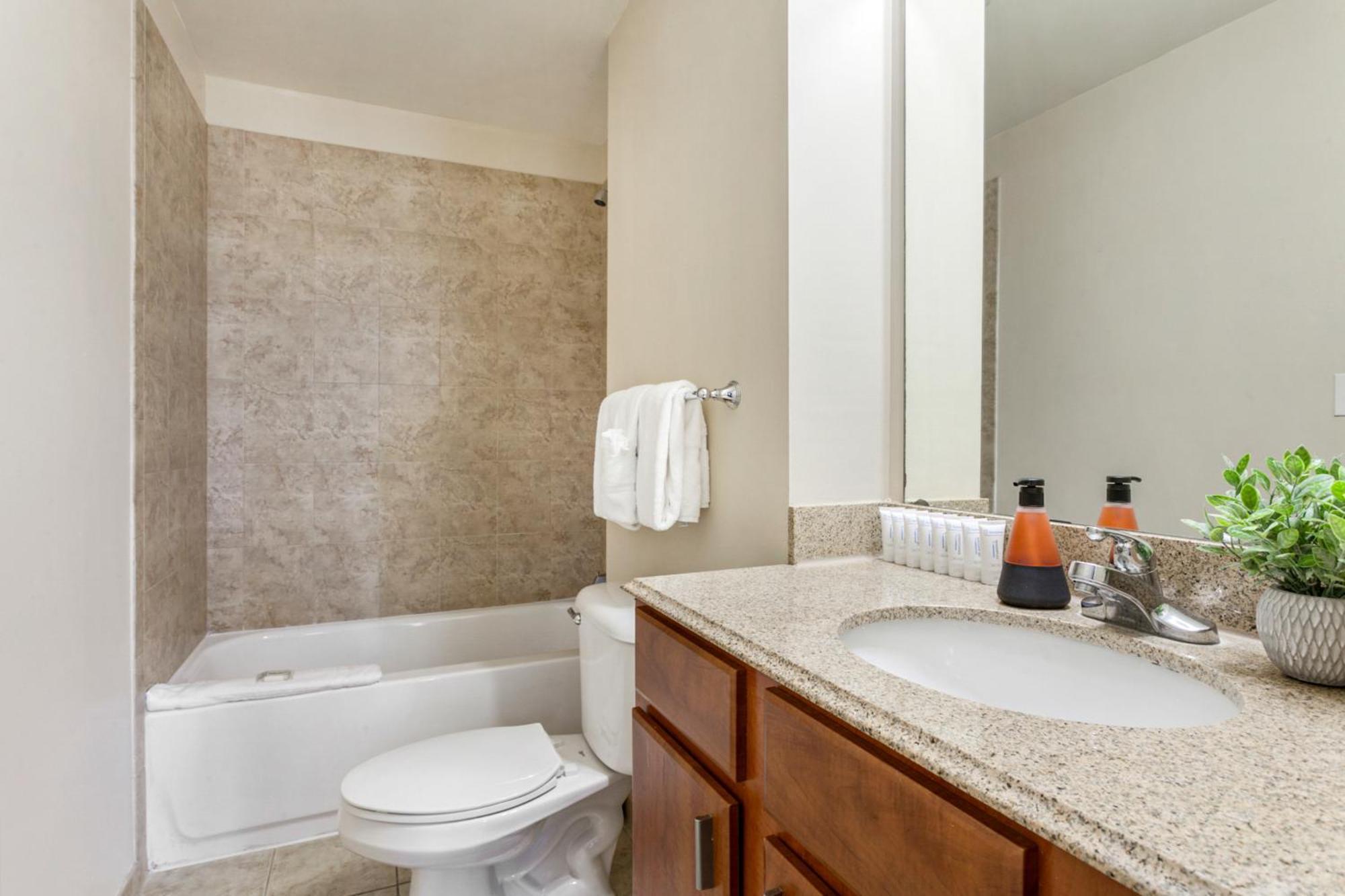 Spacious Modern Near French Quarter Apartment