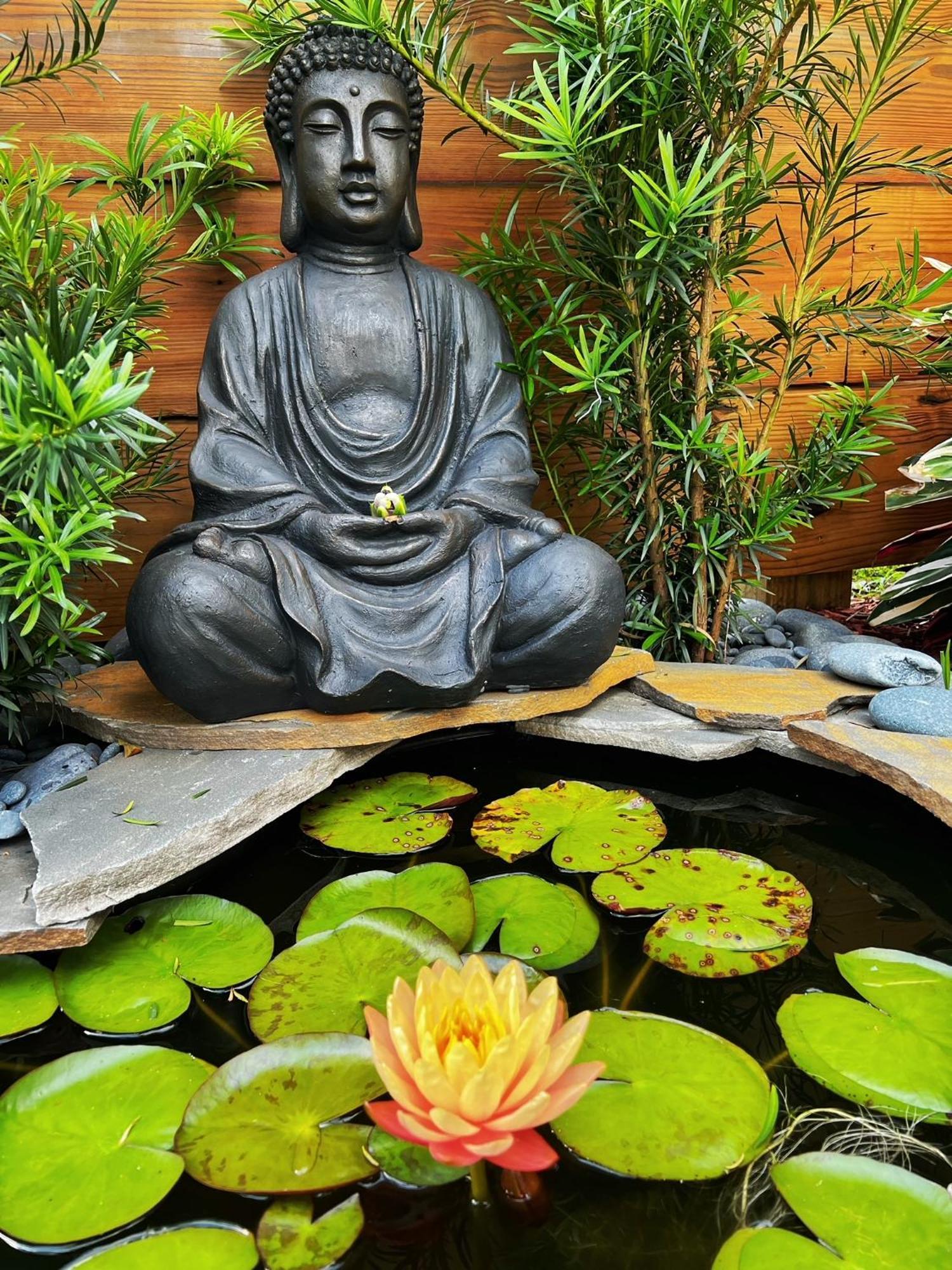 Luxury Historic Shotgun In Lower Garden District New Orleans