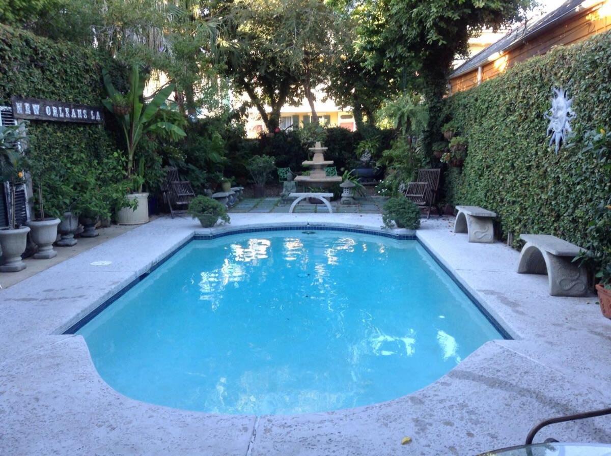 Cozy In The Marigny Apartment