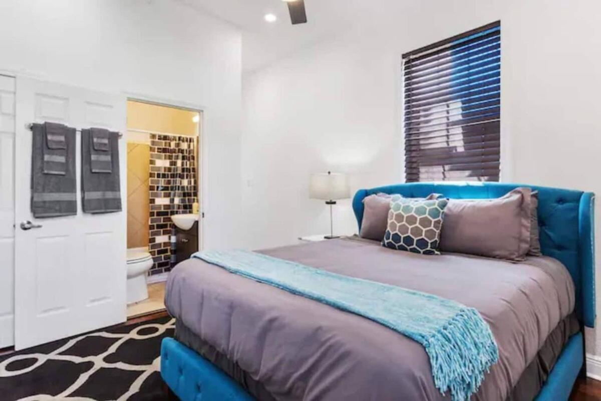 Modern Fresh Historic *