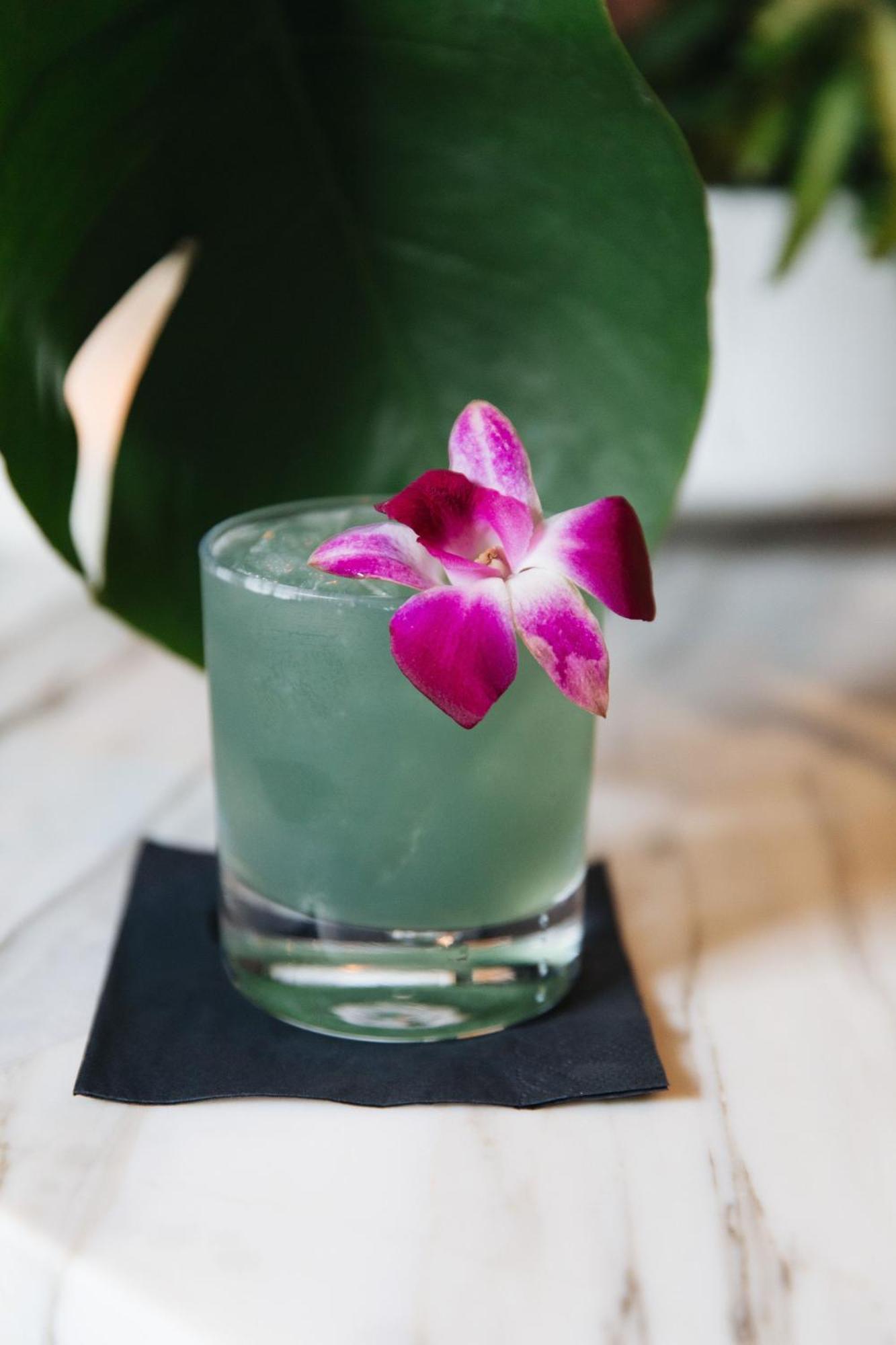 Hotel Garden District