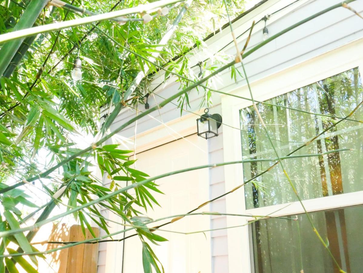 Charming St. Ann New Orleans