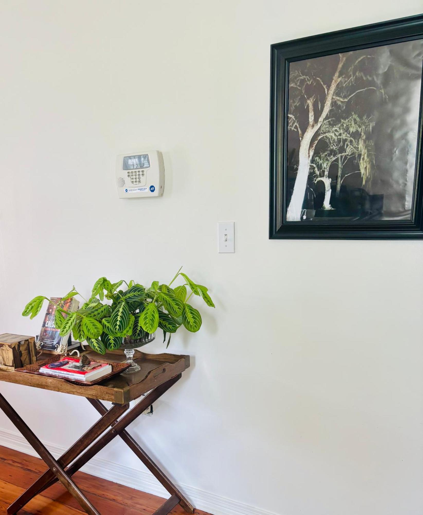 Apartment Quirky In The Birthplace Of Jazz *