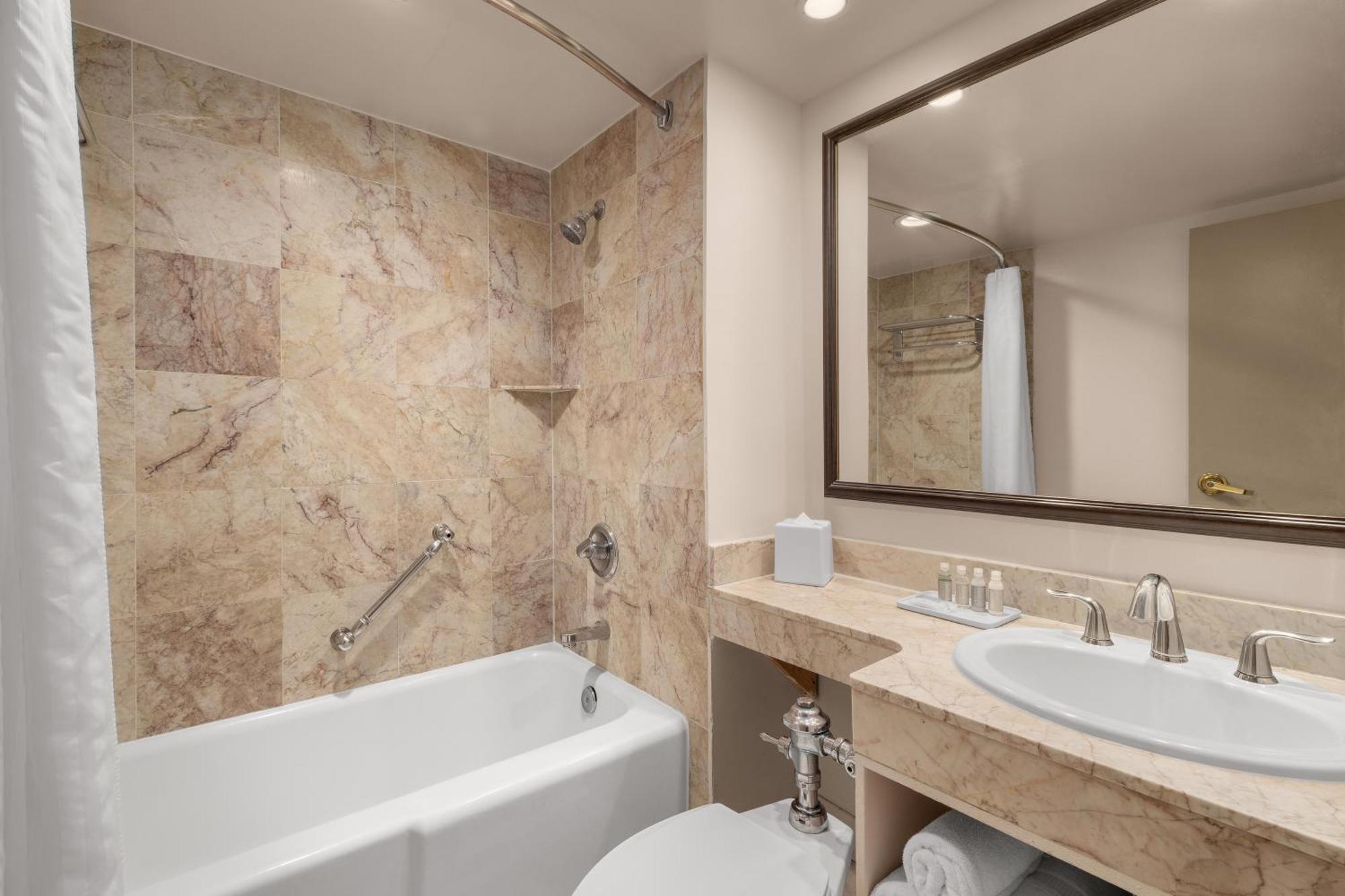 Dauphine Orleans Hotel New Orleans