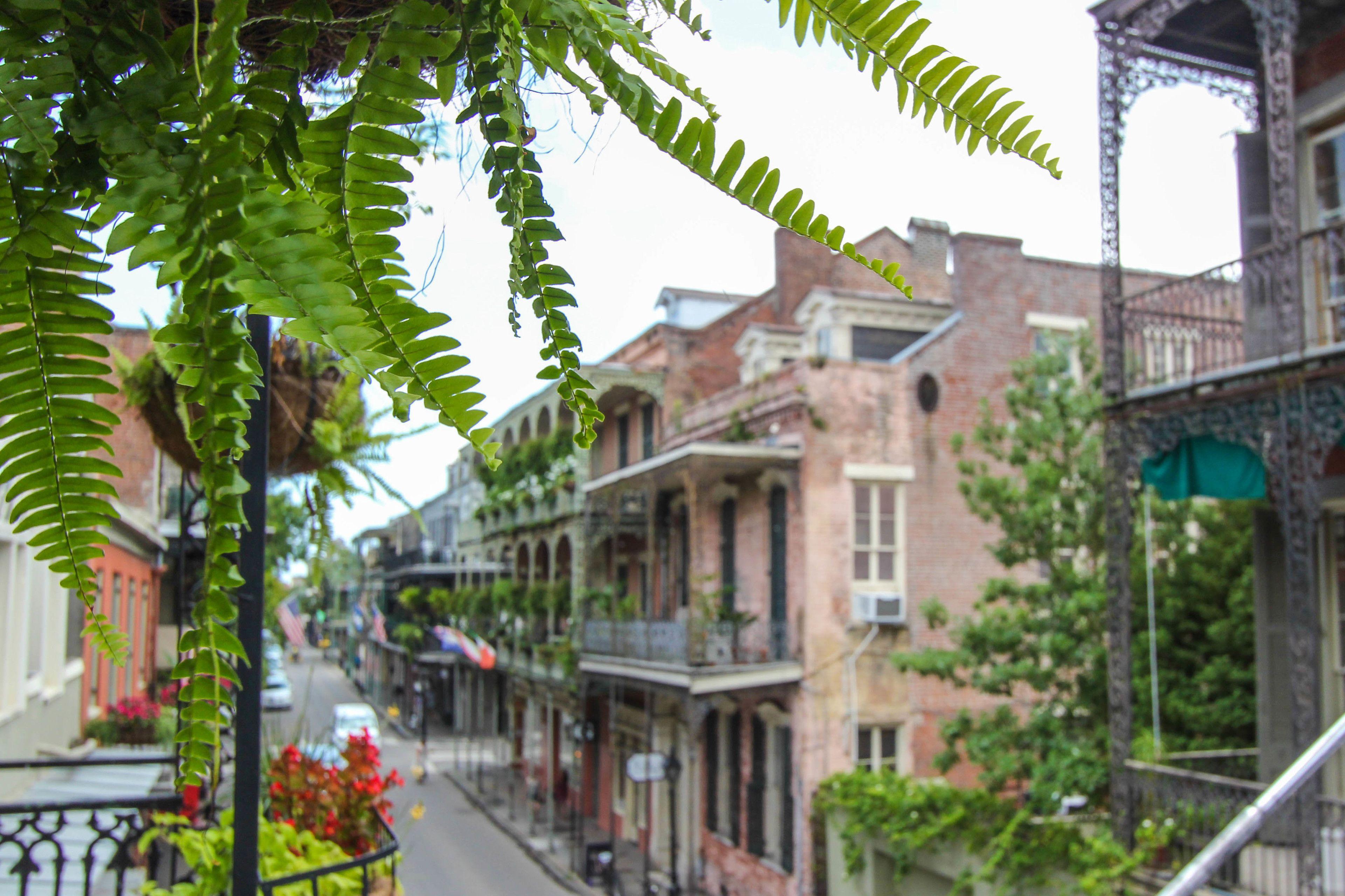 Hotel Andrew Jackson French Quarter 3*