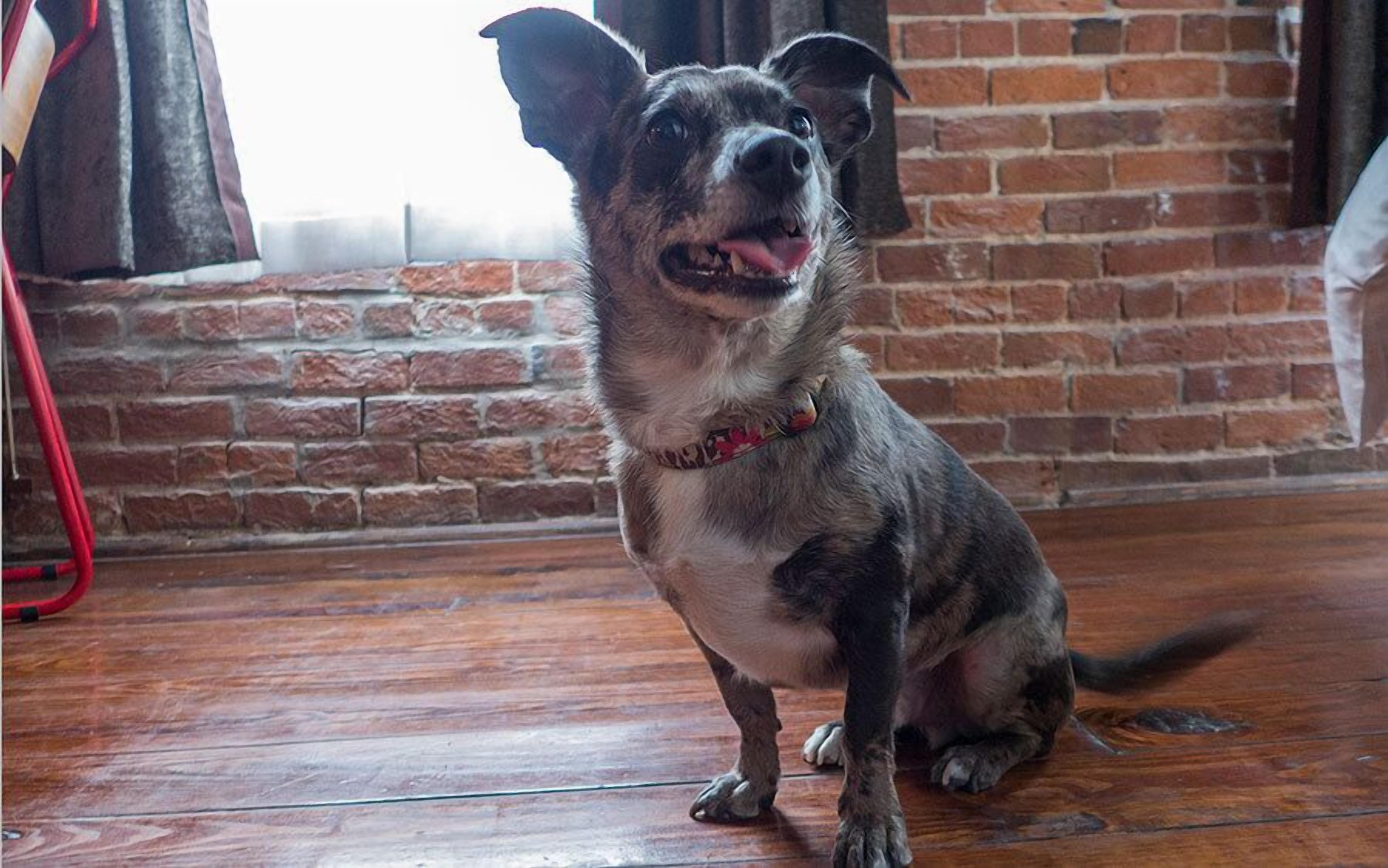 The Old No. 77 & Chandlery New Orleans