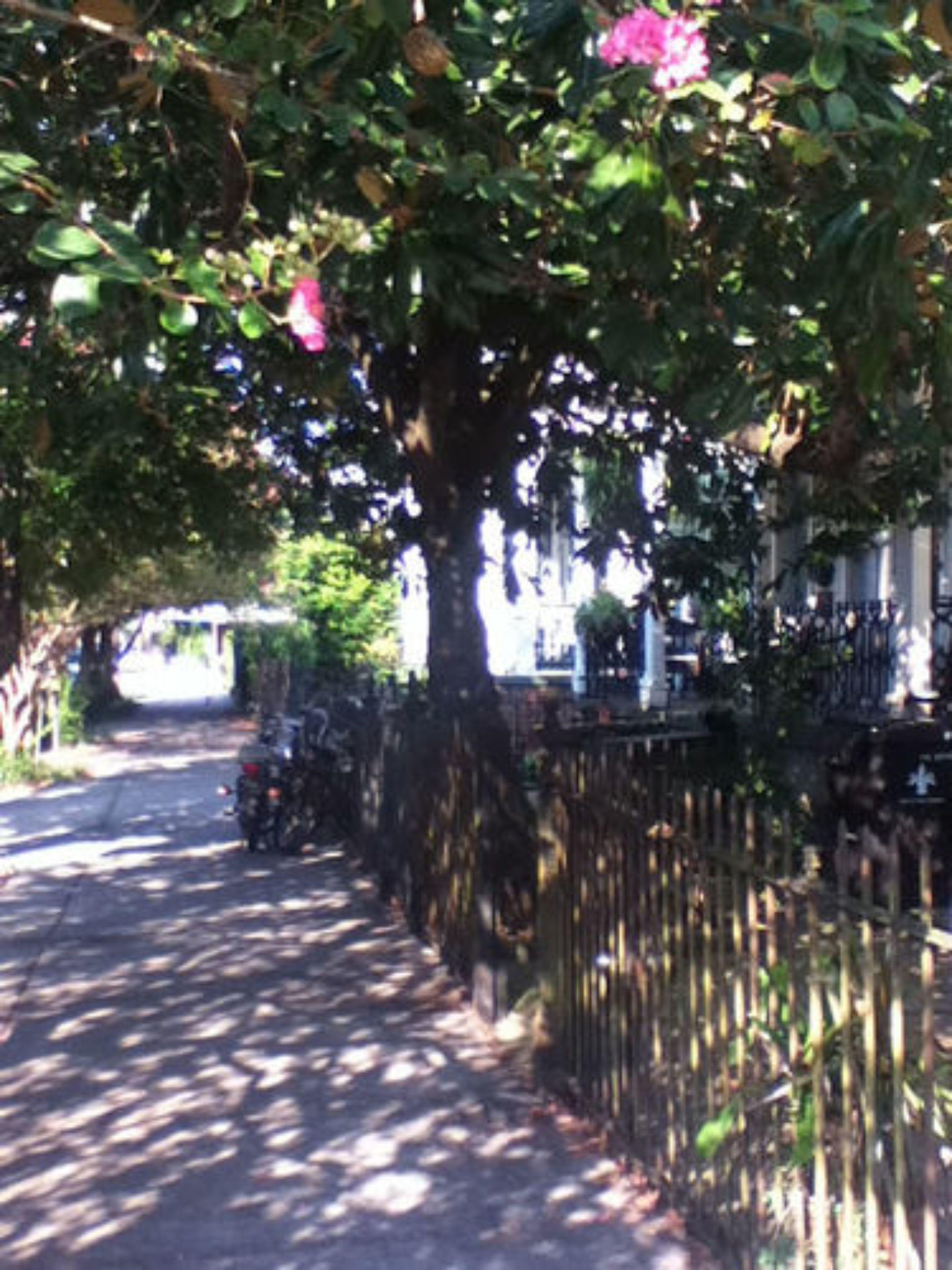 Garden District 3* New Orleans