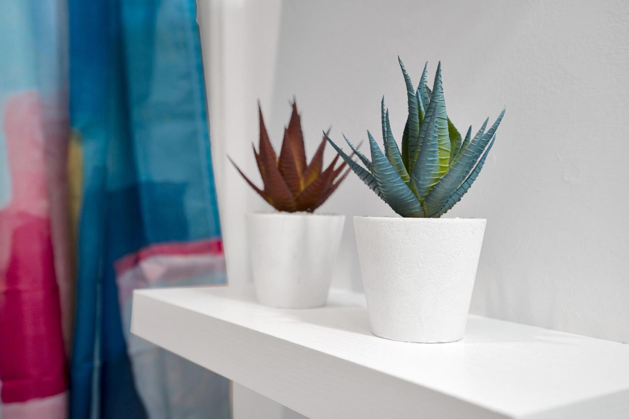 Elegant Across From Fq W Free Parking *