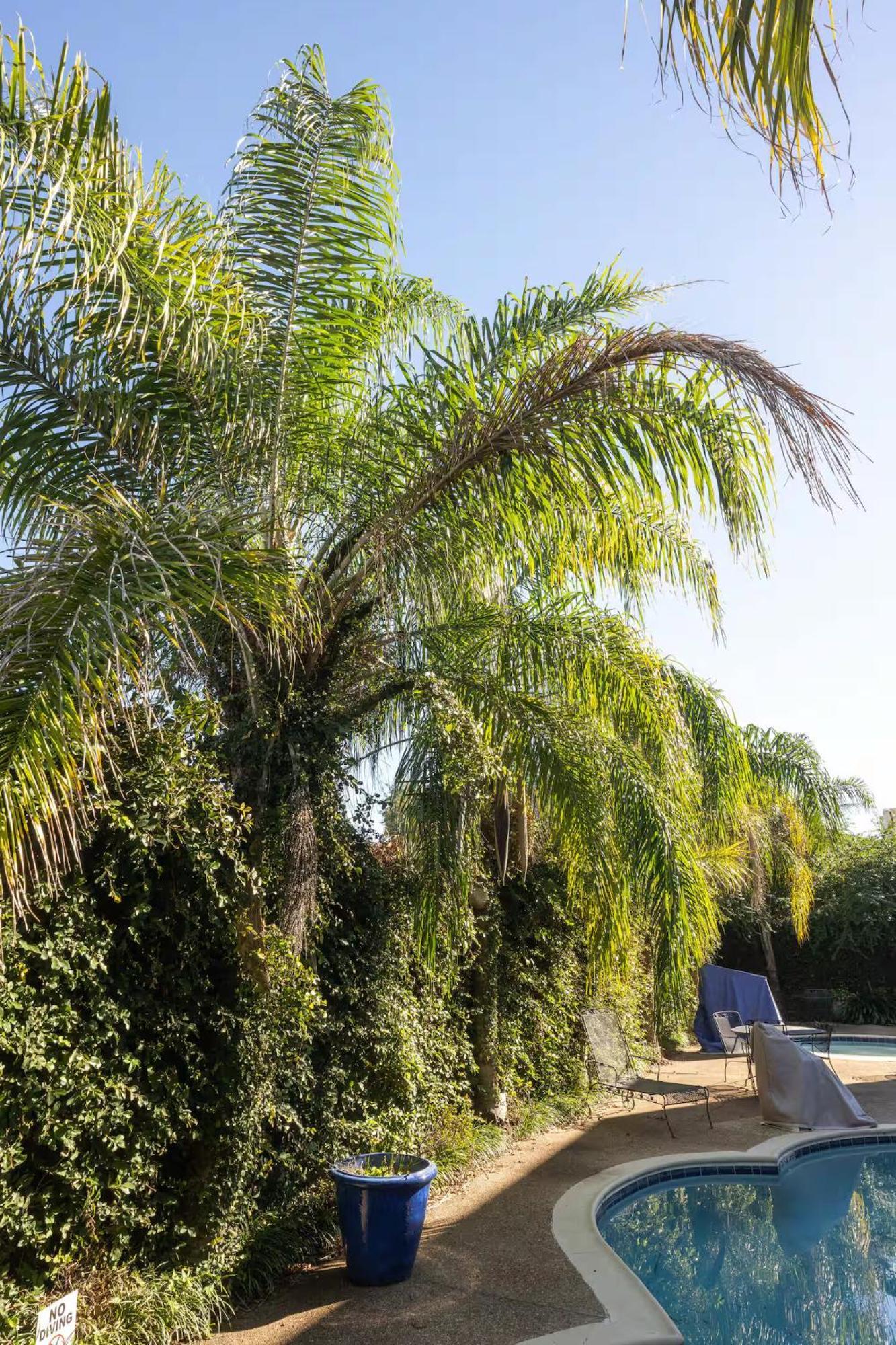 Aparthotel Elegant 1br W Pool & Hot Tub On Frenchmen St New Orleans