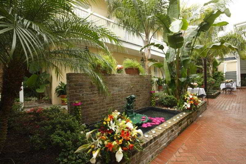 Dauphine Orleans Hotel New Orleans