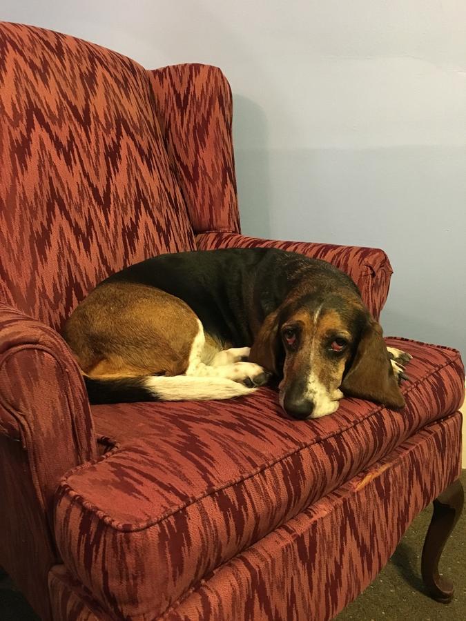 Chez Palmiers New Orleans