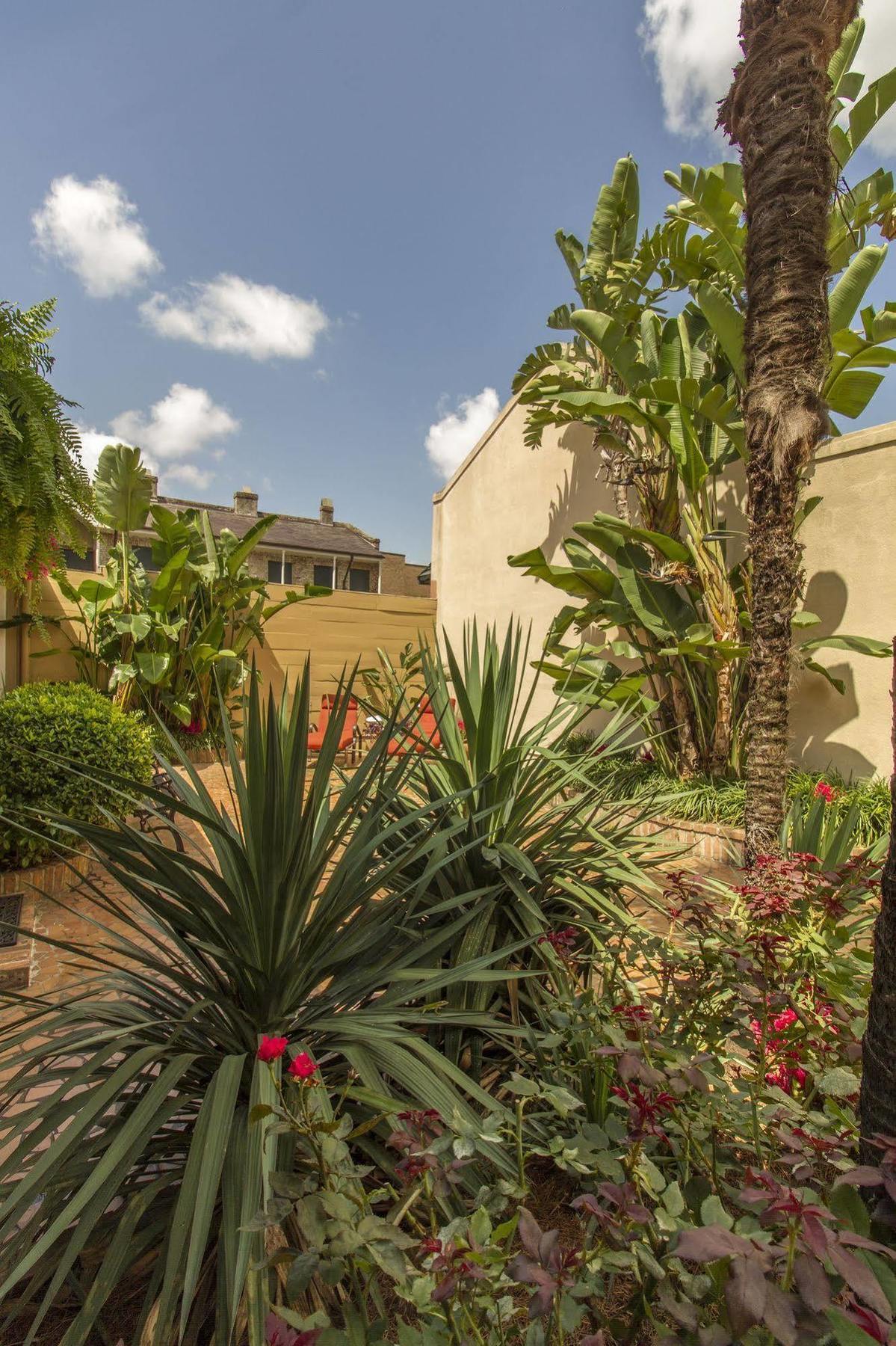 Hotel Dauphine Orleans