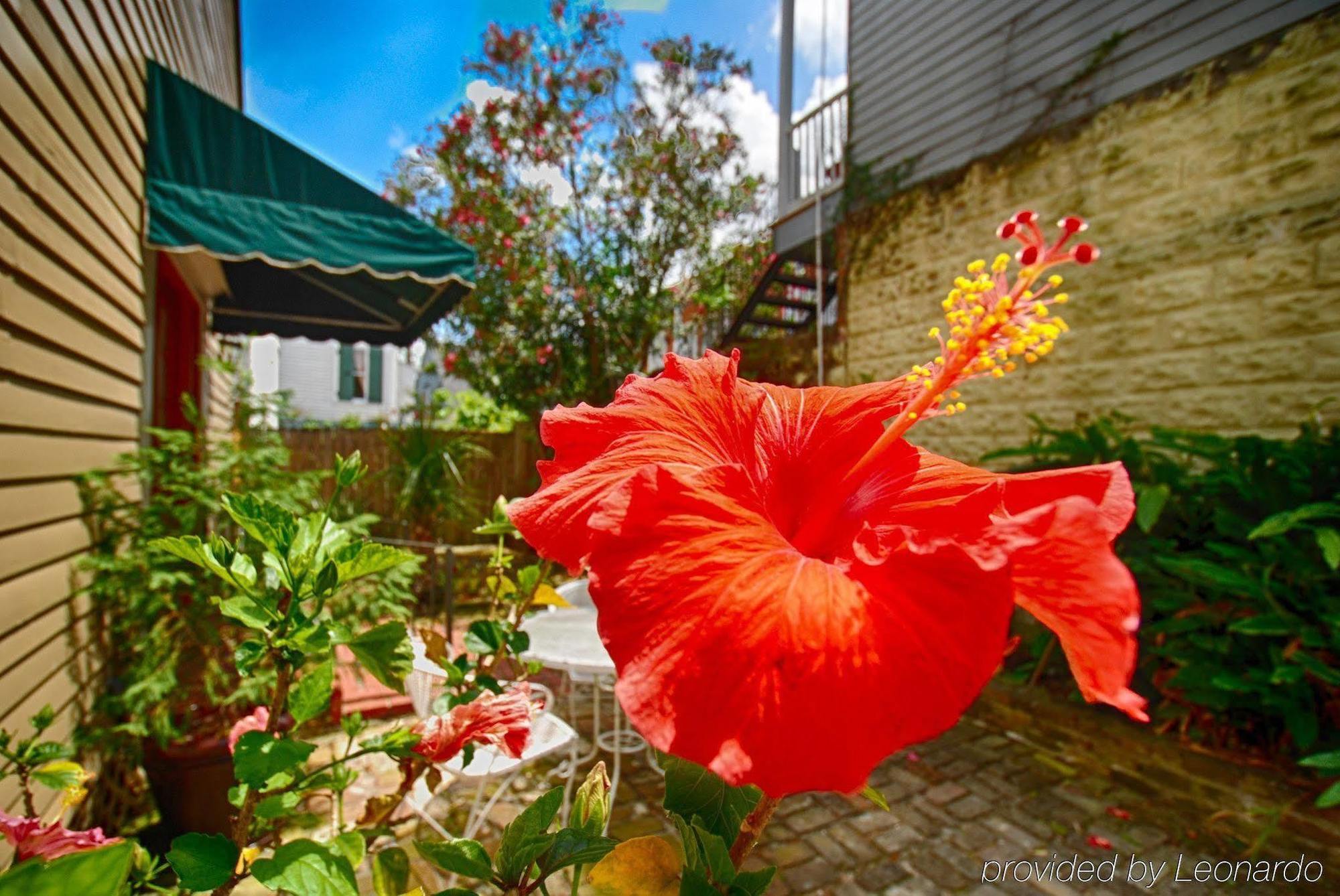 Lamothe House A French Quarter Hotel 4*