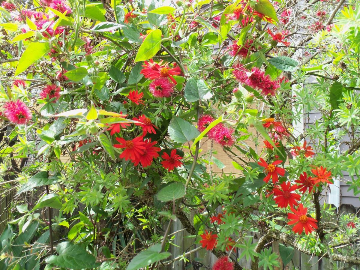 House Of The Rising Sun Bed & Breakfast 3*