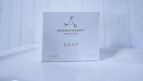 Sully Mansion New Orleans