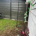 Apartment Neighbor New Orleans