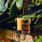 Kimpton Hotel Fontenot By Ihg