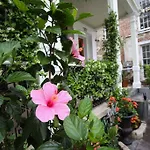 Bed & Breakfast Fleur De Lis Mansion New Orleans